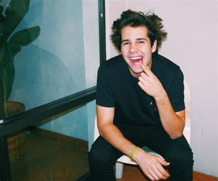 David Dobrik pede desculpas ap&oacute;s alega&ccedil;&otilde;es de agress&atilde;o sexual do Vlog