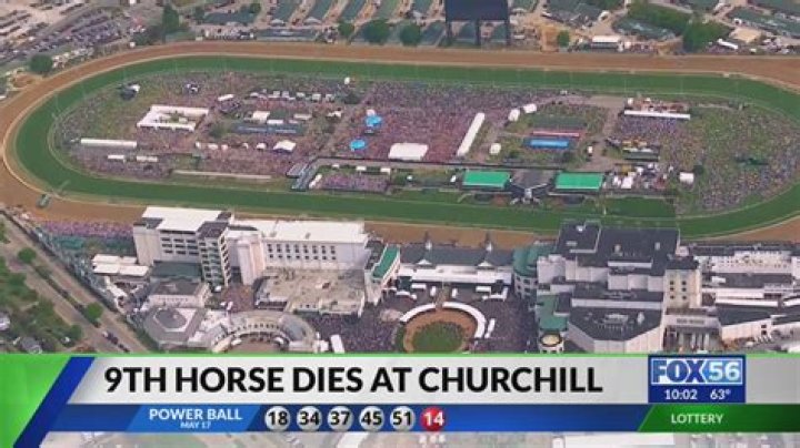 Horse dies at Churchill Downs, 8th recent fatality at home of Kentucky