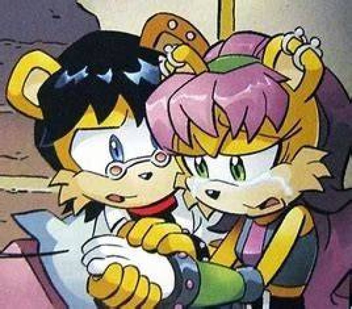 Mina x Ash SONIC COUPLES Fanpop