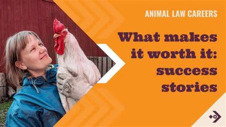 Secrets To Success And Animal Advocacy