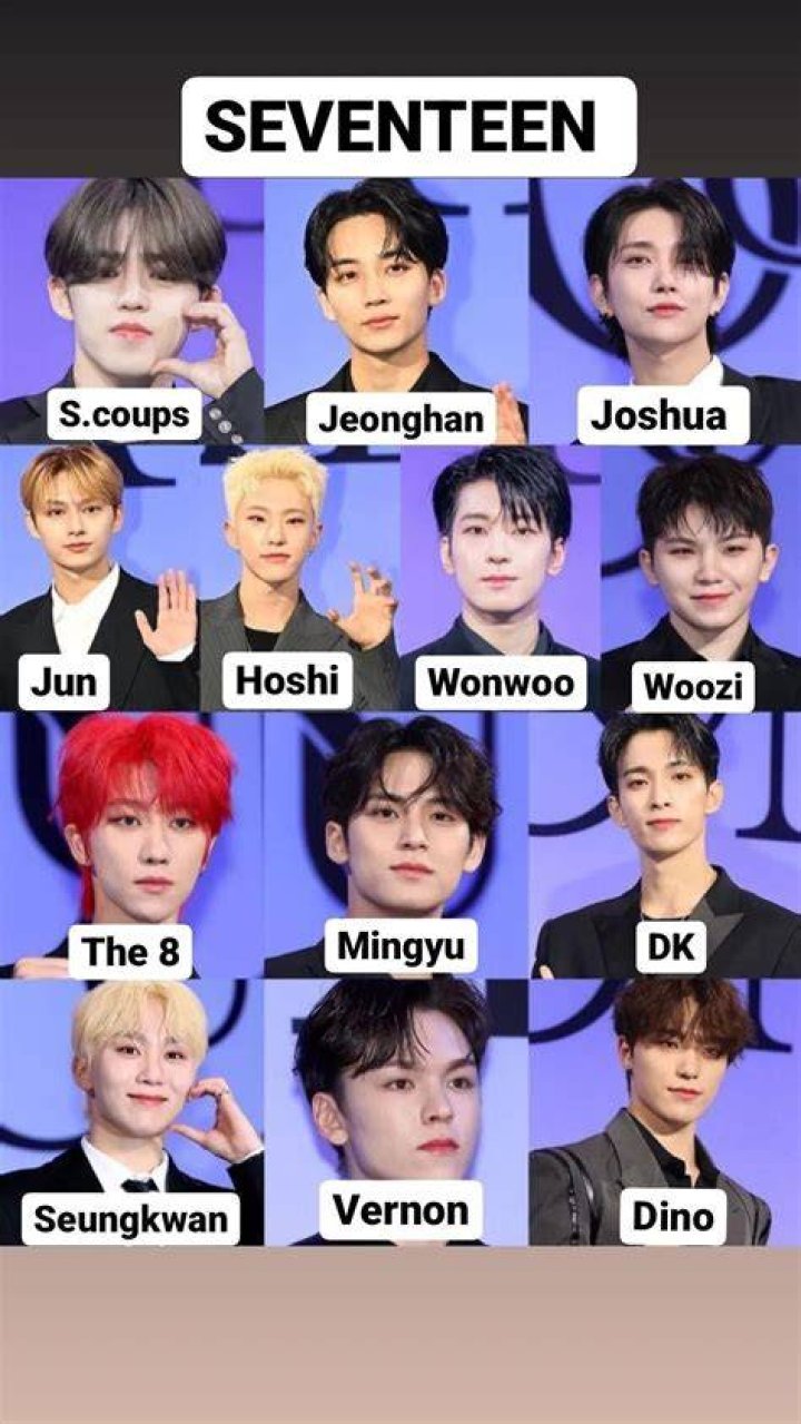 Seventeen Member Wonwoo&rsquo;s Mother Has Died