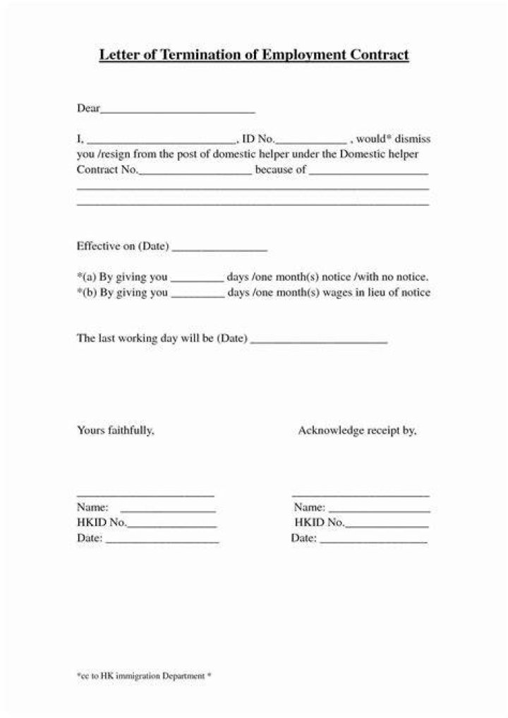termination of employment in South Carolina