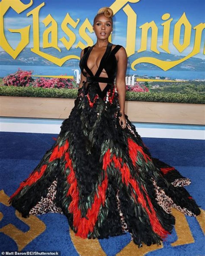 Unveiling The Style Secrets Of Janelle Monae's Iconic Glass Onion Dress