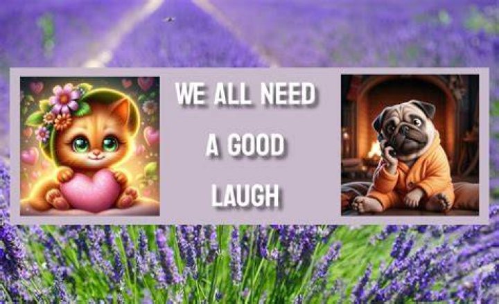 We All Need A Laugh John A. Reisenbach Foundation