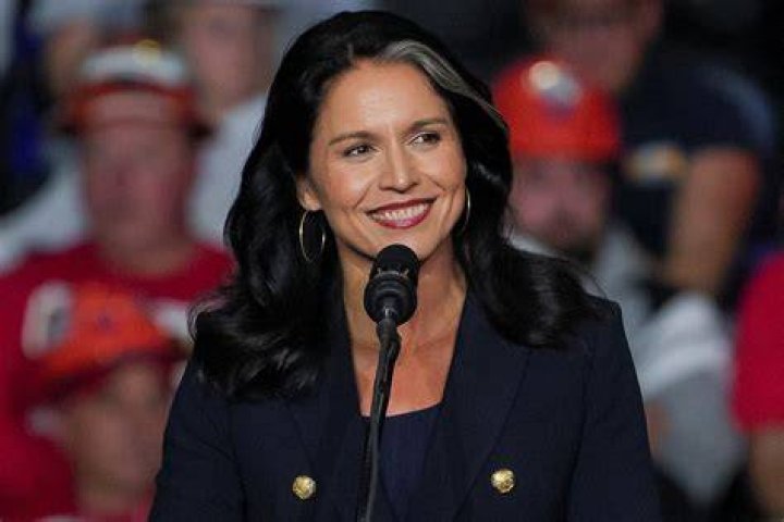 What Happened To Tulsi Gabbard? Citizens Are Curious About Her Grey Hair And Face Changes Here's Why